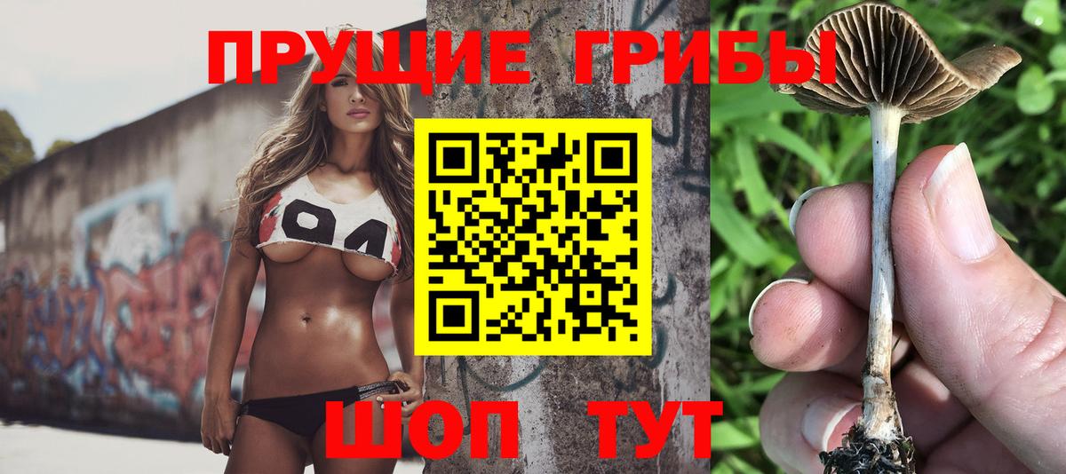 Галлюциногенные грибы MAGIC MUSHROOMS Старая Купавна